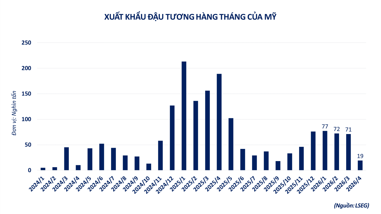 Giá dầu xuống thấp nhất hơn 3 tháng, dòng tiền ‘chảy’ vào đậu tương Giá dầu xuống thấp nhất hơn 3 tháng, dòng tiền ‘chảy’ vào đậu tương
