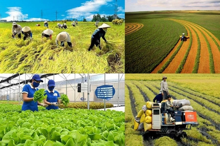 Nông nghiệp, môi trường: Cải cách thủ tục, tiết kiệm nghìn tỷ đồng cho người dân và doanh nghiệp Nông nghiệp, môi trường: Cải cách thủ tục, tiết kiệm nghìn tỷ đồng cho người dân và doanh nghiệp