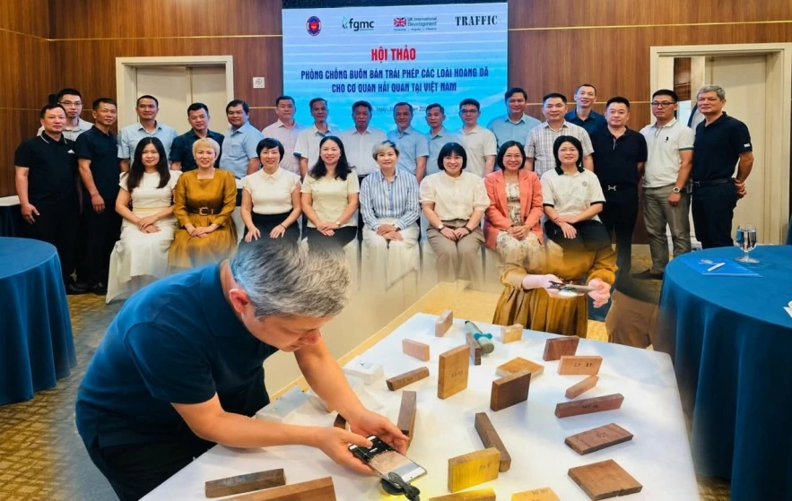 Hải quan nâng cao năng lực ngăn chặn buôn bán động, thực vật hoang dã xuyên biên giới Hải quan nâng cao năng lực ngăn chặn buôn bán động, thực vật hoang dã xuyên biên giới