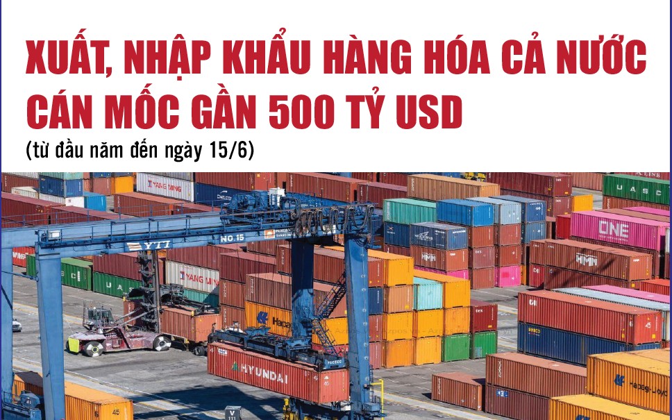 Infographics: Tổng kim ngạch xuất, nhập khẩu hàng hóa cả nước đạt 496,6 tỷ USD