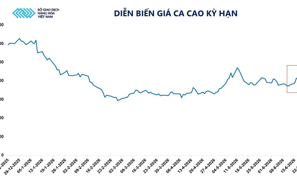 Giá ca cao tăng vọt hơn 9% bất chấp áp lực điều chỉnh nhiều mặt hàng