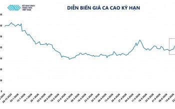 Giá ca cao tăng vọt hơn 9% bất chấp áp lực điều chỉnh nhiều mặt hàng