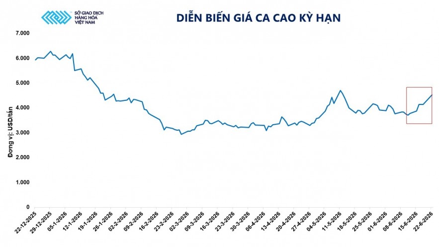 Giá ca cao tăng vọt hơn 9% bất chấp áp lực điều chỉnh nhiều mặt hàng Giá ca cao tăng vọt hơn 9% bất chấp áp lực điều chỉnh nhiều mặt hàng