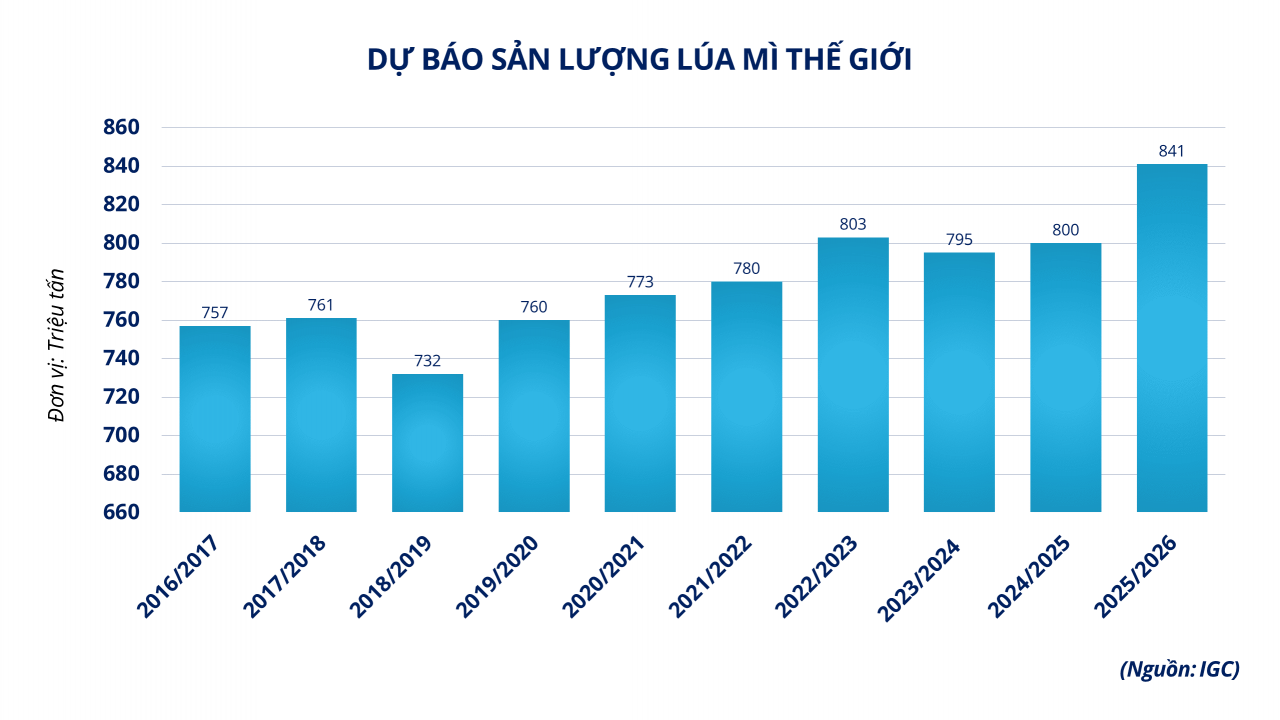 Giá ca cao tăng vọt hơn 9% bất chấp áp lực điều chỉnh nhiều mặt hàng Giá ca cao tăng vọt hơn 9% bất chấp áp lực điều chỉnh nhiều mặt hàng