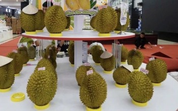 Nâng cấp chuỗi giá trị để nông sản Việt giữ thị phần tại Trung Quốc