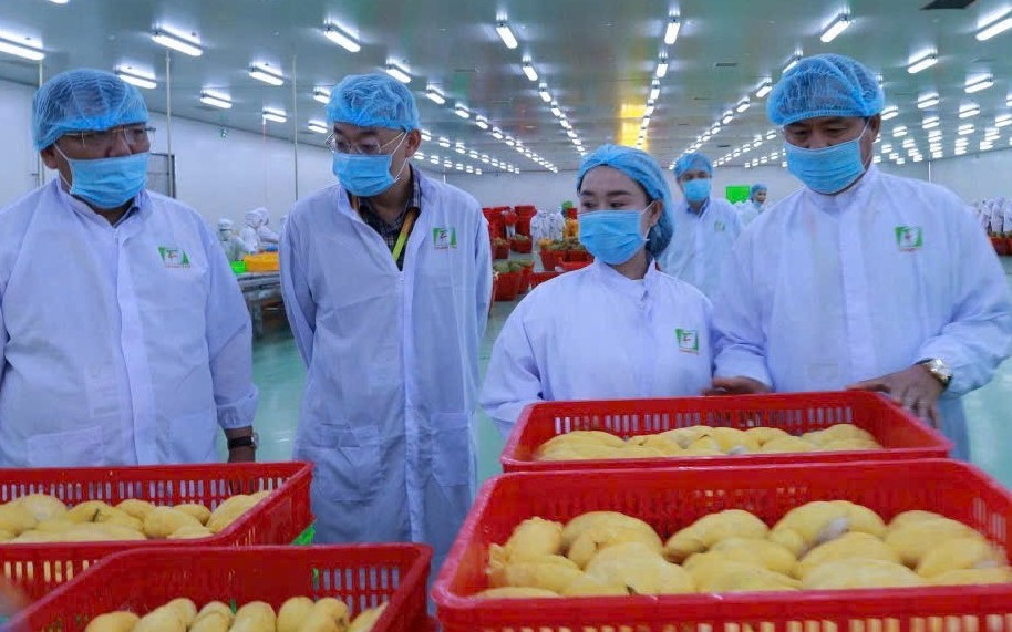 Hàng loạt thị trường siết rào cản SPS: Doanh nghiệp xuất khẩu nông sản đối mặt yêu cầu mới