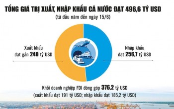 Dấu ấn Việt Nam trên bản đồ thương mại toàn cầu