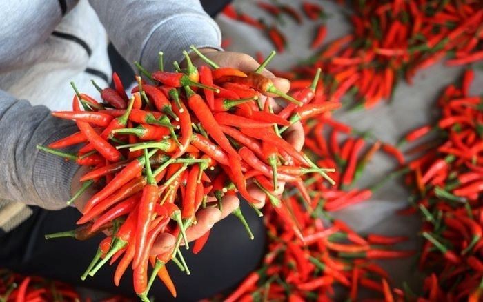 Hàng loạt thị trường siết rào cản SPS: Doanh nghiệp xuất khẩu nông sản đối mặt yêu cầu mới Hàng loạt thị trường siết rào cản SPS: Doanh nghiệp xuất khẩu nông sản đối mặt yêu cầu mới