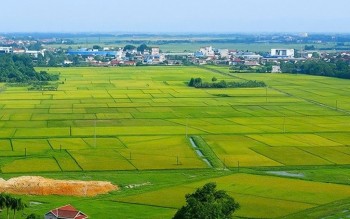 Hà Nội dồn lực hoàn thành toàn bộ dữ liệu đất đai trước ngày 30/8