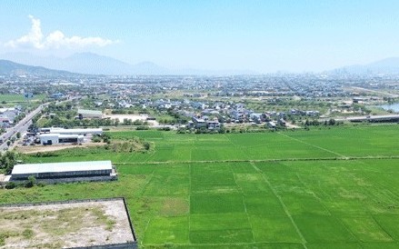 Đà Nẵng đấu giá 298.575m2 đất làm chợ đầu mối Hòa Phước