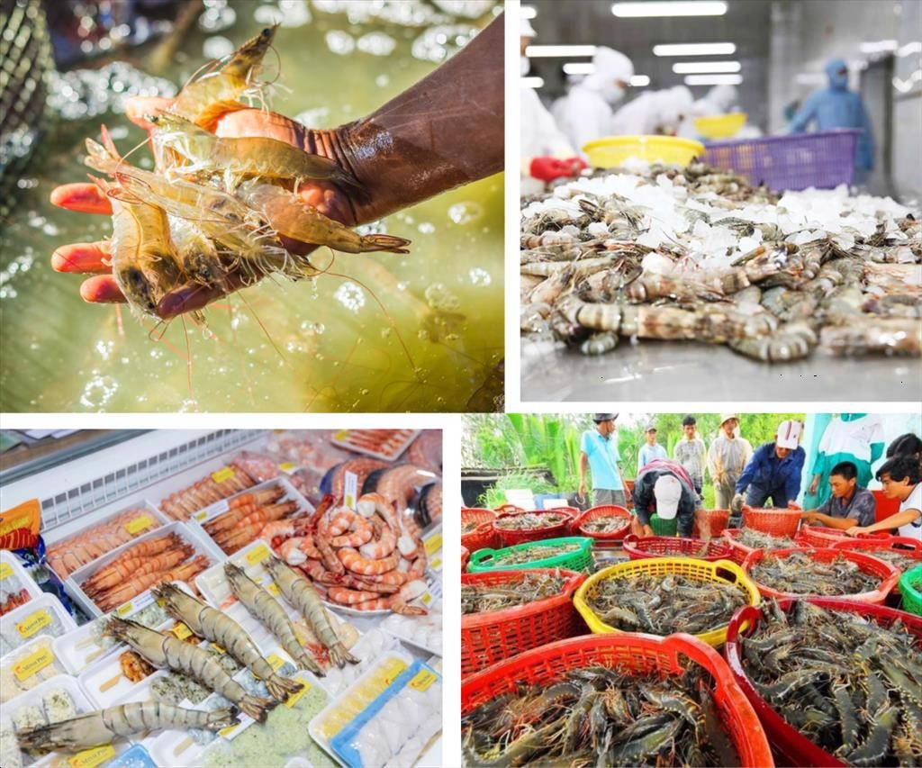 Nguồn cung nông sản dồi dào, giá cả cơ bản ổn định trong nửa đầu năm 2026