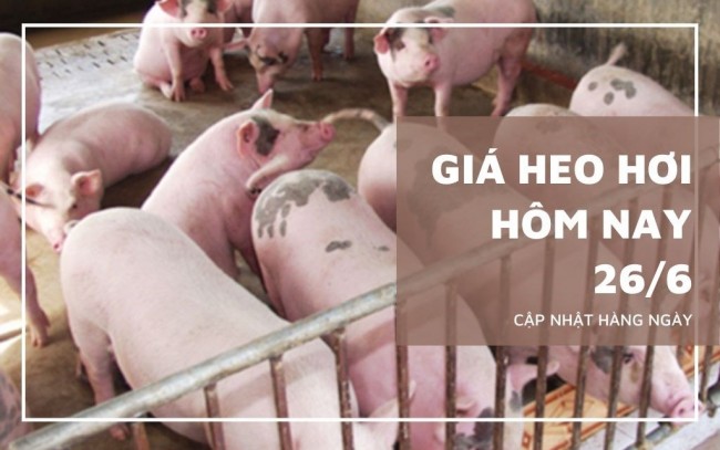 Ngày 26/6: Giá heo hơi tại miền Nam vẫn neo ở vùng thấp nhất