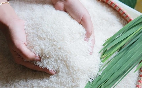Ngày 26/6: Giá gạo nguyên liệu xuất khẩu tăng, lúa đi ngang