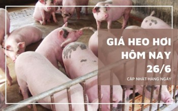 Ngày 26/6: Giá heo hơi tại miền Nam vẫn neo ở vùng thấp nhất
