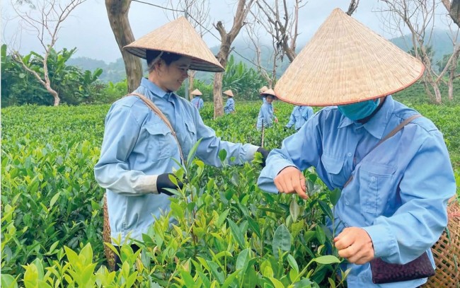 Phát huy hiệu quả cộng hưởng của các nguồn lực đầu tư phát triển