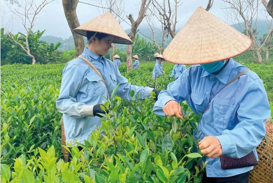 Phát huy hiệu quả cộng hưởng của các nguồn lực đầu tư phát triển Phát huy hiệu quả cộng hưởng của các nguồn lực đầu tư phát triển