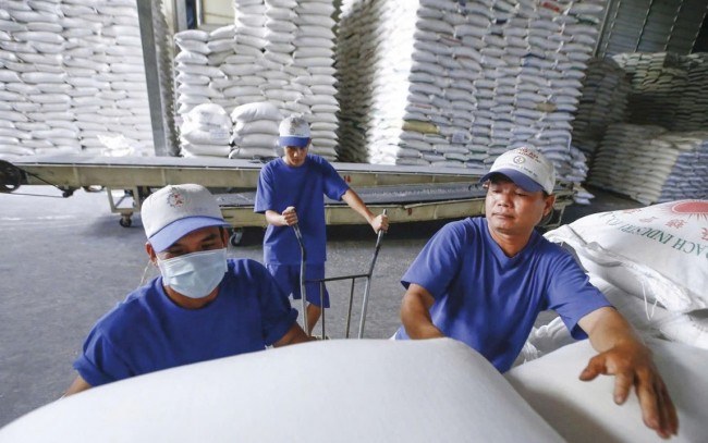Gạo Việt gia tăng lợi thế từ sản phẩm chất lượng cao