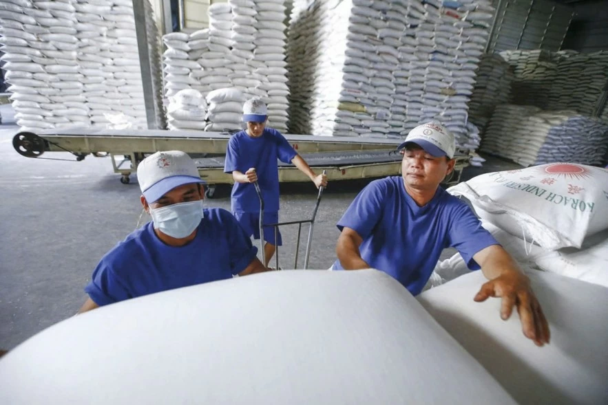 Gạo Việt gia tăng lợi thế từ sản phẩm chất lượng cao