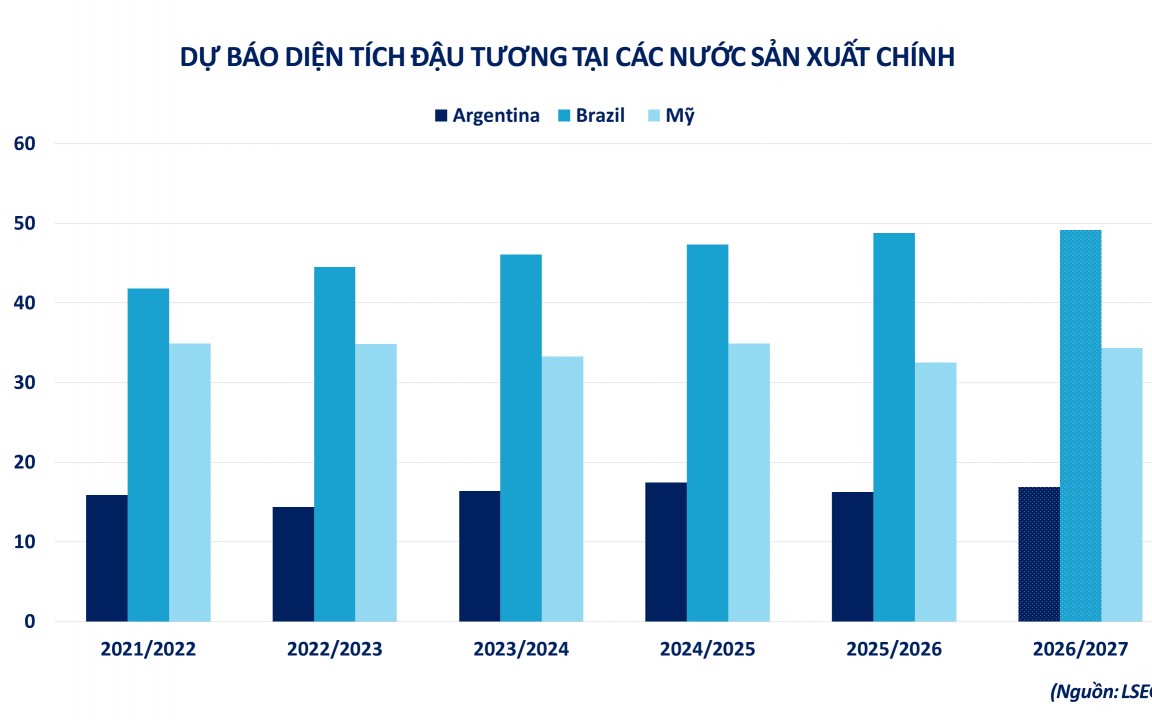Triển vọng phục hồi của giá đậu tương tiếp tục chịu sức ép