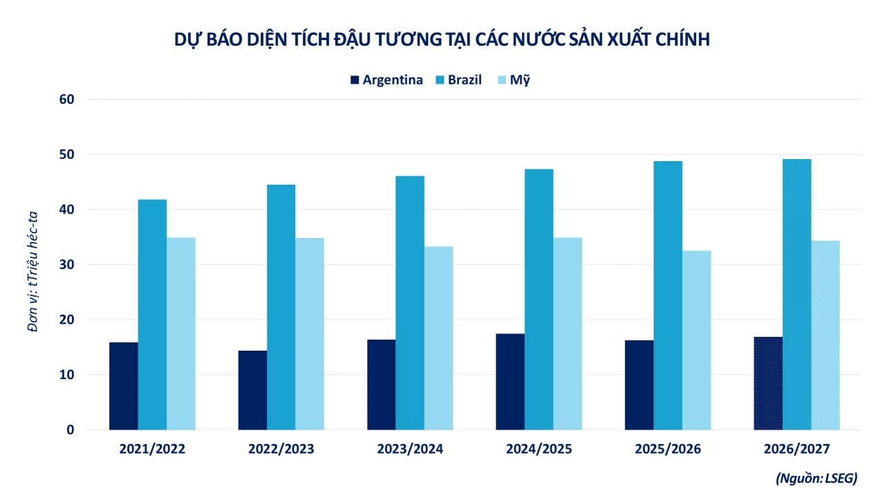 Triển vọng phục hồi của giá đậu tương tiếp tục chịu sức ép