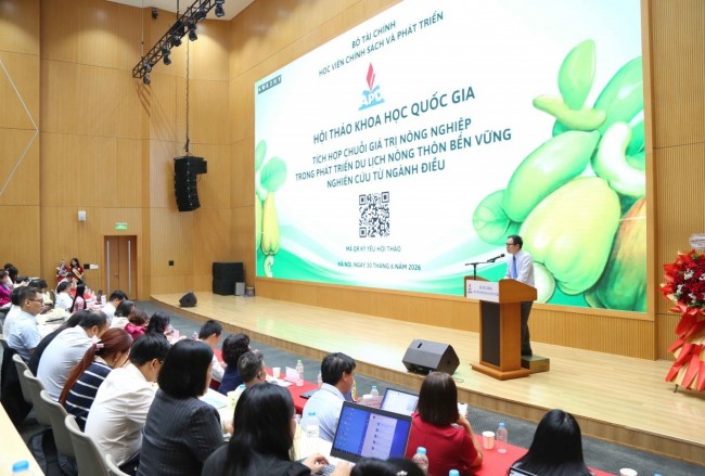 Tích hợp chuỗi giá trị ngành điều trong phát triển du lịch nông thôn