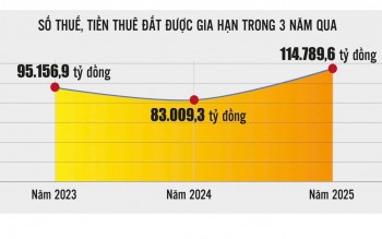 Gia hạn thời hạn nộp thuế, tiền thuê đất: “Khoản vay không lãi suất” hỗ trợ doanh nghiệp phục hồi phát triển