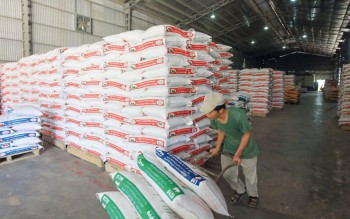 Giá thịt lợn, thức ăn chăn nuôi và phân bón đồng loạt chịu áp lực tăng