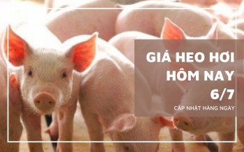 Ngày 6/7: Giá heo hơi dao động từ 60.000 - 66.000 đồng/kg
