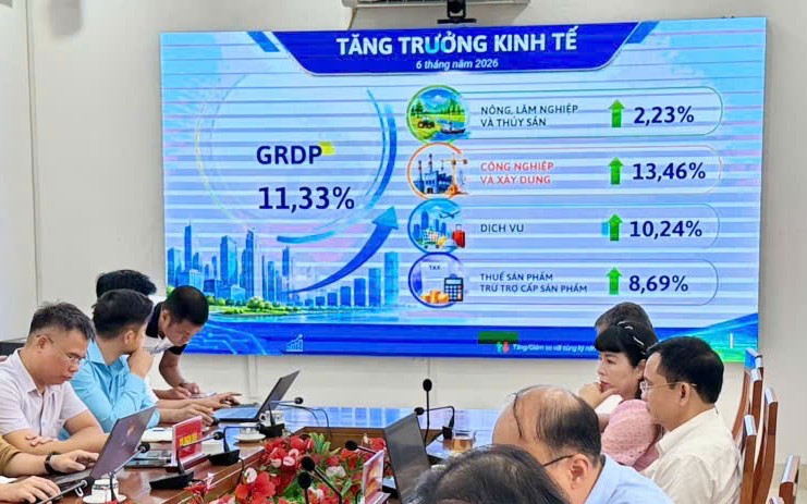 Hải Phòng thu ngân sách vượt 113.500 tỷ đồng, tăng 12,4% trong 6 tháng đầu năm 2026
