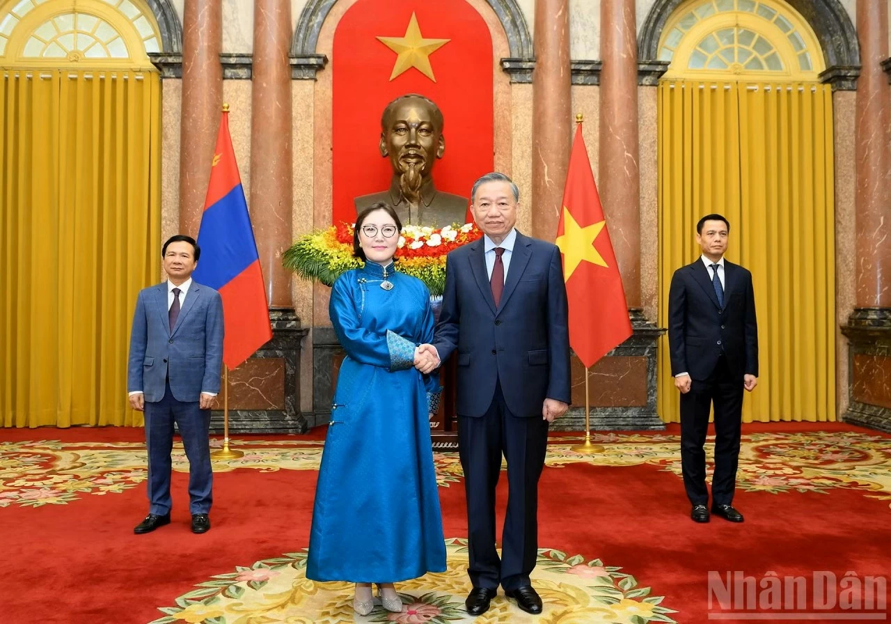 Tổng Bí thư, Chủ tịch nước Tô Lâm tiếp Đại sứ các nước trình Quốc thư Tổng Bí thư, Chủ tịch nước Tô Lâm tiếp Đại sứ các nước trình Quốc thư