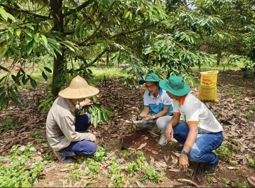 Nửa đầu năm 2026: PVFCCo – Phú Mỹ bứt phá tăng trưởng toàn diện Nửa đầu năm 2026: PVFCCo – Phú Mỹ bứt phá tăng trưởng toàn diện