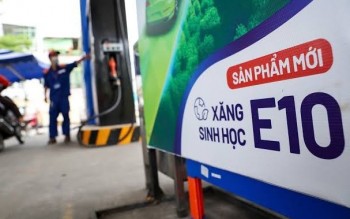 Xăng E10 phát huy hiệu quả bước đầu, chưa ghi nhận tác động tiêu cực đến phương tiện