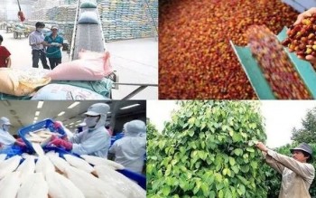 Mục tiêu xuất khẩu nông, lâm, thủy sản 100 tỷ USD - khả thi nếu tạo đột phá về mô hình tăng trưởng