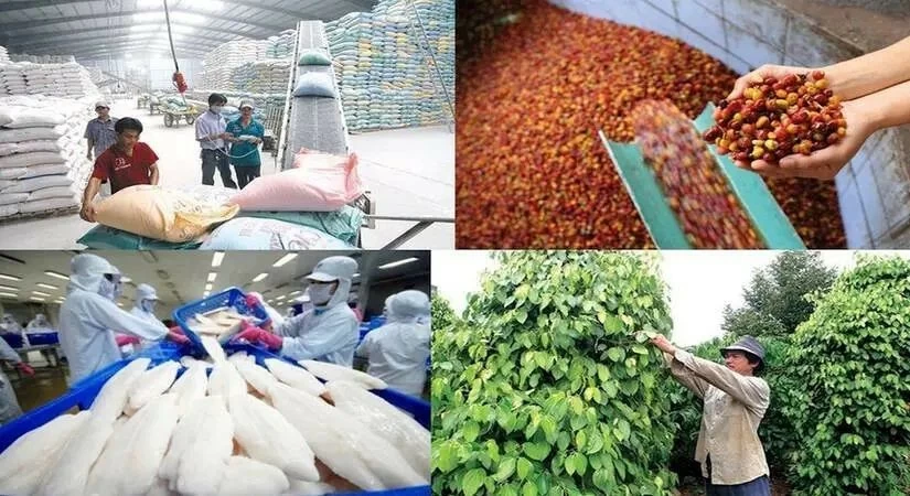 Mục tiêu xuất khẩu nông, lâm, thủy sản 100 tỷ USD: Khả thi nếu tạo đột phá về mô hình tăng trưởng