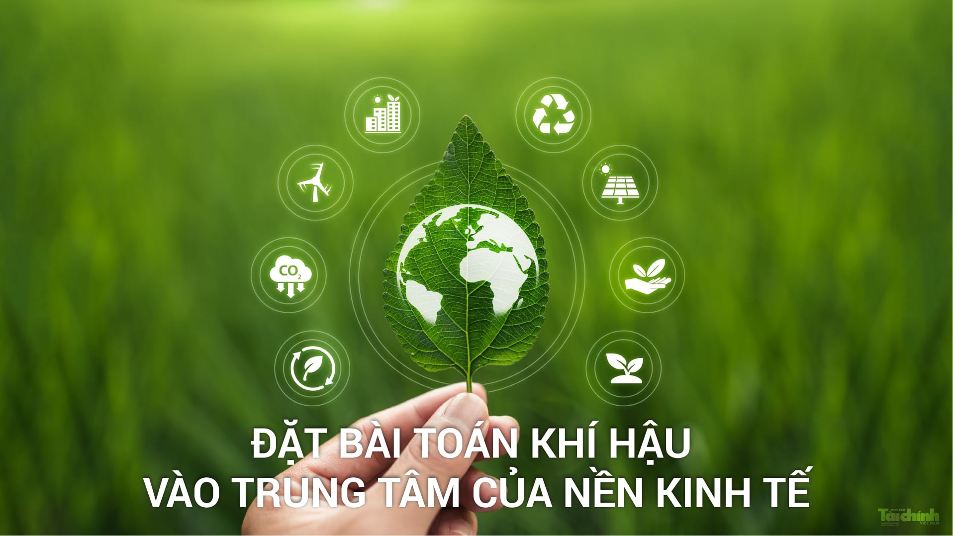Sàn giao dịch các-bon - Việt Nam đang đặt nền móng cho một kiến trúc tài chính hoàn toàn mới