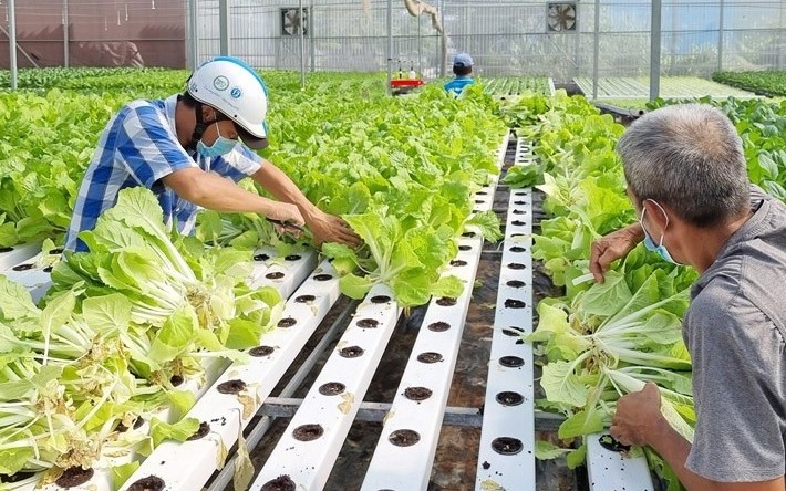 Hà Nội hoàn thiện hành lang pháp lý, đưa Luật Thủ đô 2026 sớm vào cuộc sống
