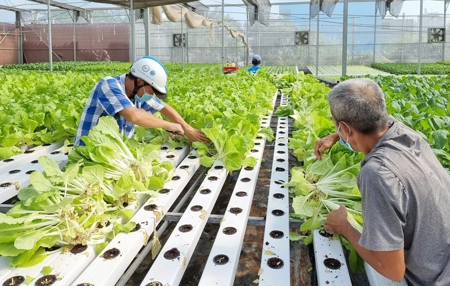 Hà Nội hoàn thiện hành lang pháp lý, đưa Luật Thủ đô 2026 sớm vào cuộc sống Hà Nội hoàn thiện hành lang pháp lý, đưa Luật Thủ đô 2026 sớm vào cuộc sống