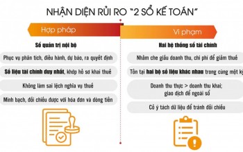 Sử dụng hai sổ kế toán để trốn thuế có thể bị truy cứu trách nhiệm hình sự