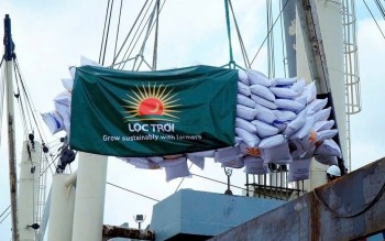 Dòng tiền vững - "bộ đệm" của doanh nghiệp trước biến động