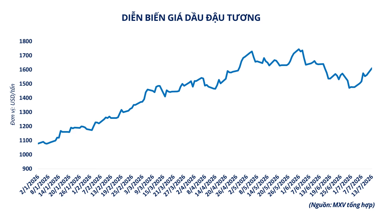 Giá dầu thô và đậu tương lên cao nhất gần một tháng