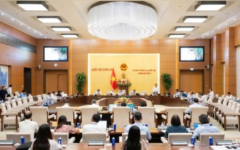 Cắt giảm, sửa đổi Danh mục ngành, nghề đầu tư kinh doanh có điều kiện