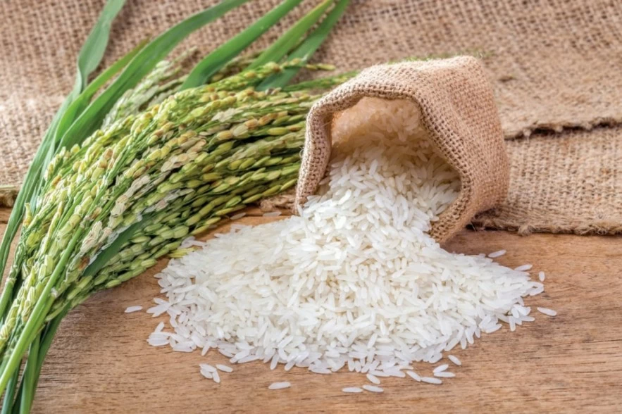 Ngày 16/7: Giá lúa gạo tại Đồng bằng sông Cửu Long bình ổn