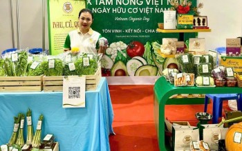 Cạnh tranh xuất khẩu nông sản bằng chất lượng và minh bạch chuỗi sản xuất