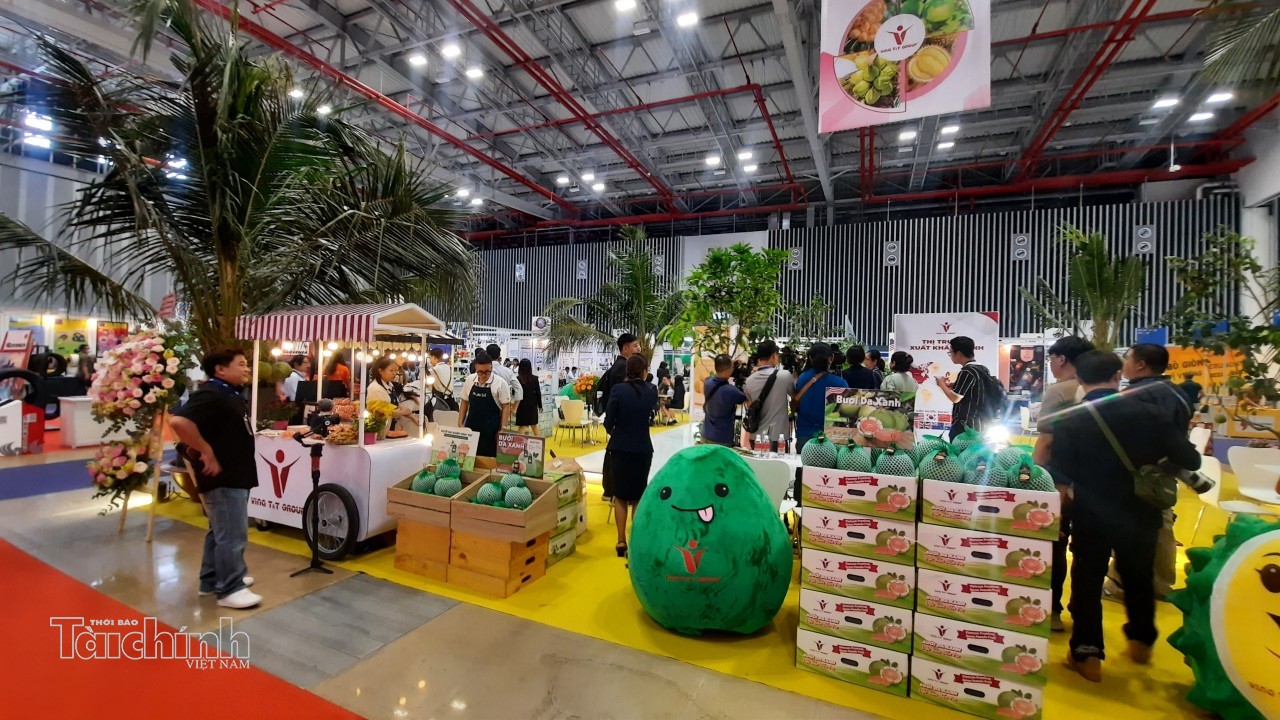 Không chỉ thuế đối ứng, doanh nghiệp xuất khẩu đang chịu sức ép từ nhiều phía Không chỉ thuế đối ứng, doanh nghiệp xuất khẩu đang chịu sức ép từ nhiều phía