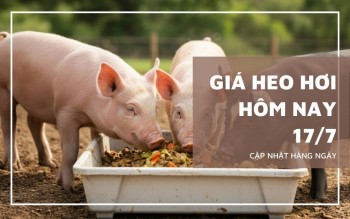 Ngày 17/7: Giá heo hơi dao động từ 62.000 - 67.000 đồng/kg