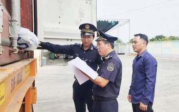 Đồng hành cùng doanh nghiệp nuôi dưỡng nguồn thu bền vững