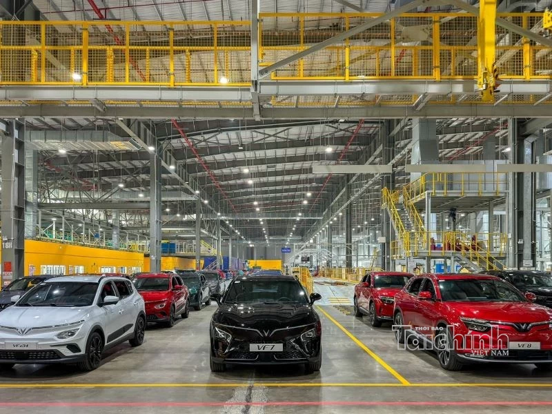 Hải Phòng triển khai Chiến dịch “Làm sạch mã số thuế - Tháo gỡ điểm nghẽn trong kinh doanh” Hải Phòng triển khai Chiến dịch “Làm sạch mã số thuế - Tháo gỡ điểm nghẽn trong kinh doanh”