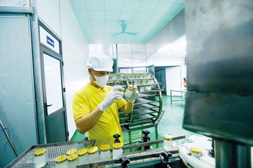 Tạo một khung thể chế vững chắc để bồi đắp năng lực nội sinh