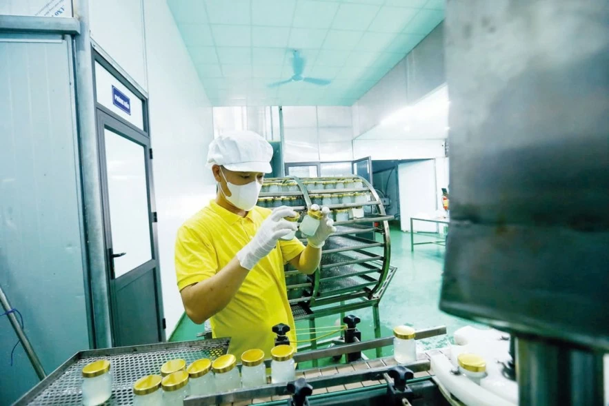 Tạo một khung thể chế vững chắc để bồi đắp năng lực nội sinh