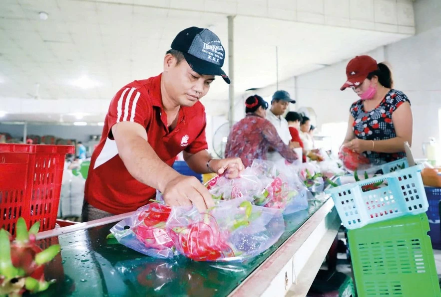 EU gia tăng các biện pháp SPS, doanh nghiệp xuất khẩu cần chủ động thích ứng EU gia tăng các biện pháp SPS, doanh nghiệp xuất khẩu cần chủ động thích ứng